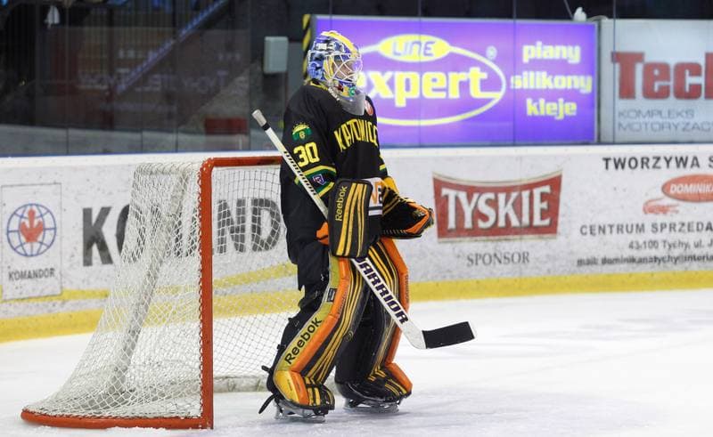 Ice Hockey. Polska Hokej Liga. GKS Tychy - HC GKS Katowice. 18.02.2014
