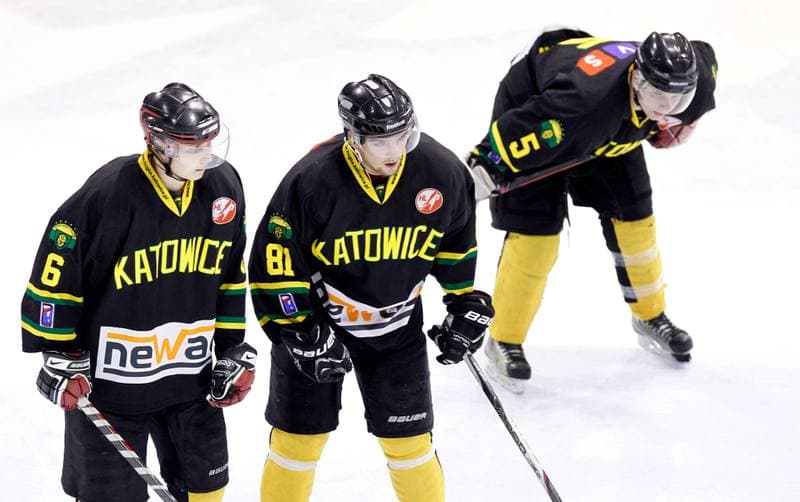Ice Hockey. Polska Hokej Liga. GKS Tychy - HC GKS Katowice. 18.02.2014