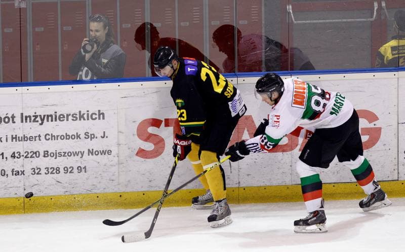 Ice Hockey. Polska Hokej Liga. GKS Tychy - HC GKS Katowice. 18.02.2014