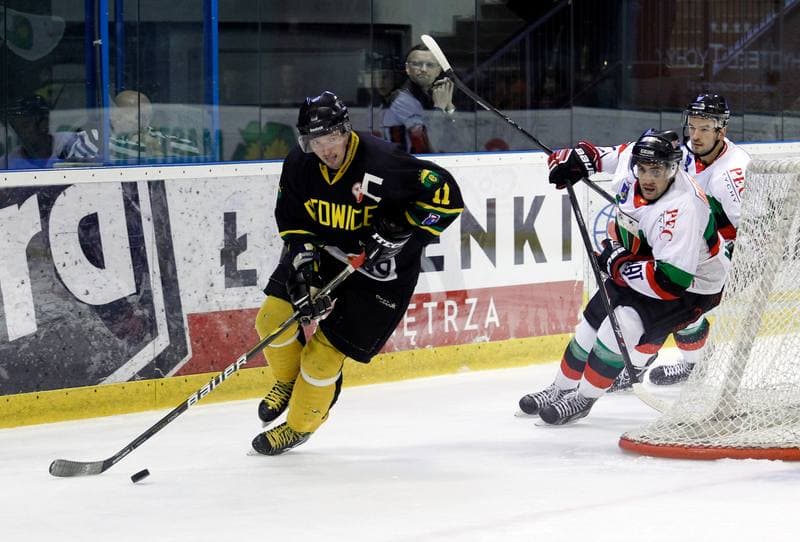 Ice Hockey. Polska Hokej Liga. GKS Tychy - HC GKS Katowice. 18.02.2014