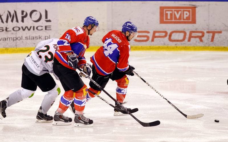 Ice Hockey. Polska Hokej Liga. Naprzod Janow - Polonia Bytom. 09.10.2014