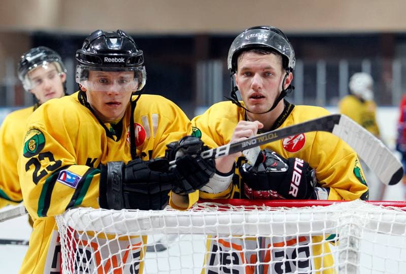 Ice Hockey. Polska Hokej Liga. HC GKS Katowice - Polonia Bytom. 01.02.2015