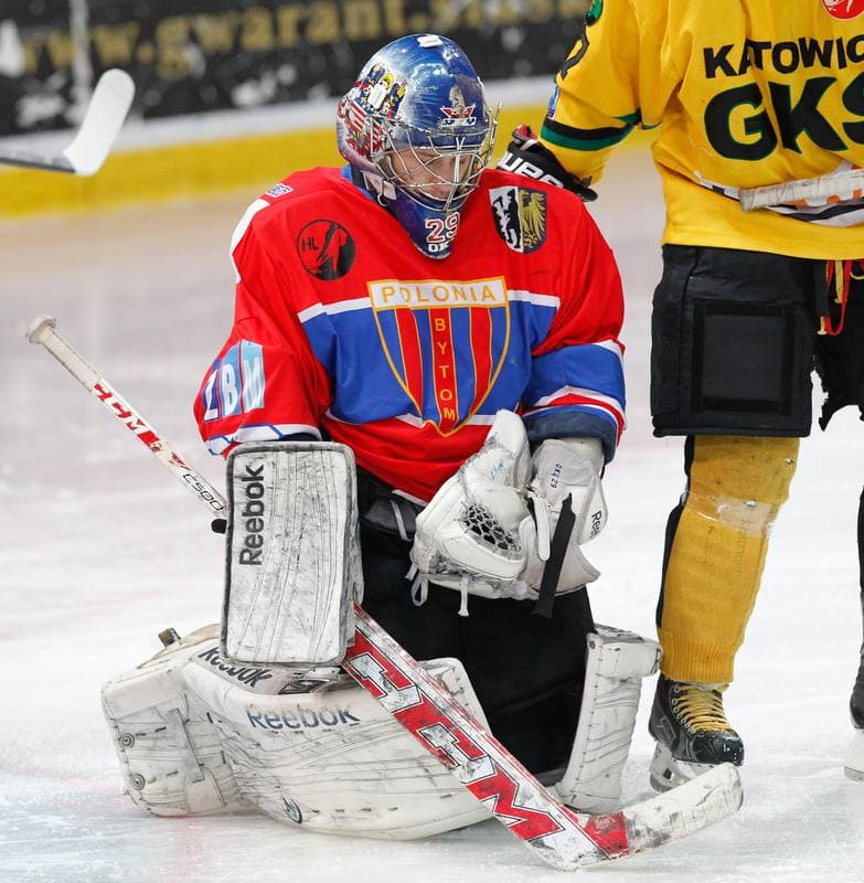 Ice Hockey. Polska Hokej Liga. HC GKS Katowice - Polonia Bytom. 01.02.2015