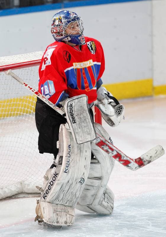 Ice Hockey. Polska Hokej Liga. HC GKS Katowice - Polonia Bytom. 01.02.2015