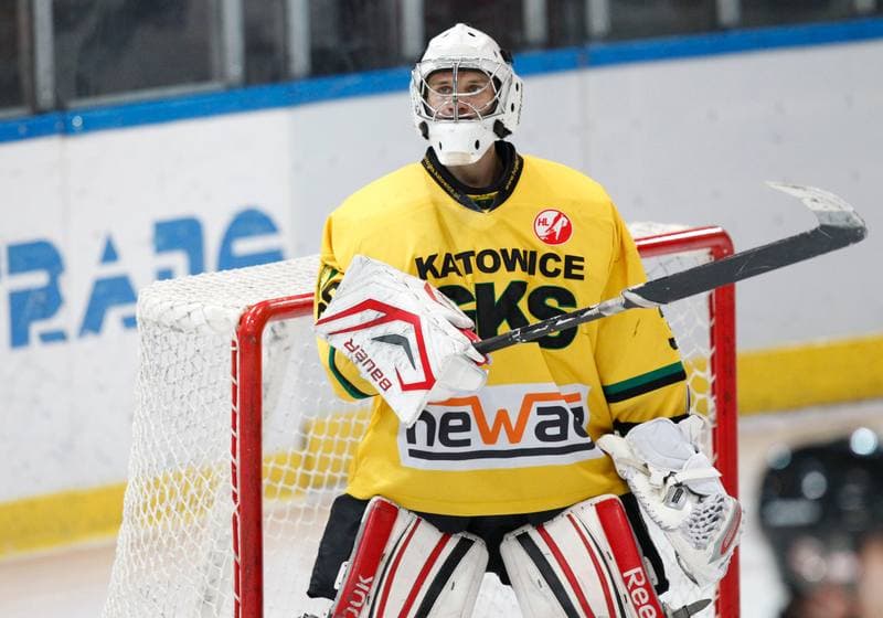Ice Hockey. Polska Hokej Liga. HC GKS Katowice - Polonia Bytom. 01.02.2015