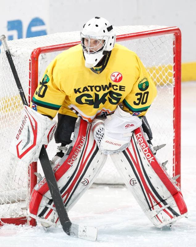 Ice Hockey. Polska Hokej Liga. HC GKS Katowice - Polonia Bytom. 01.02.2015