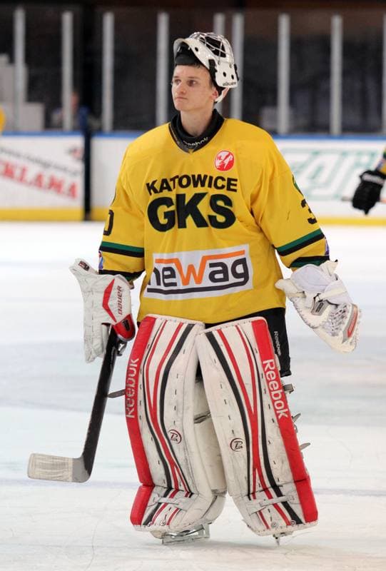 Ice Hockey. Polska Hokej Liga. HC GKS Katowice - GKS Tychy. 14.11.2014