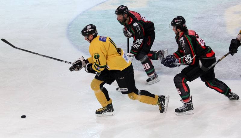 Ice Hockey. Polska Hokej Liga. HC GKS Katowice - GKS Tychy. 14.11.2014