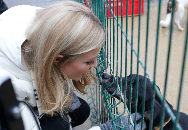 Joanna Krupa. Animal Shelter. Visit. 30.11.2013