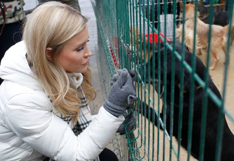 Joanna Krupa. Animal Shelter. Visit. 30.11.2013