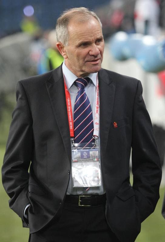 Football. International Friendly. Poland - Ireland. 19.11.2013