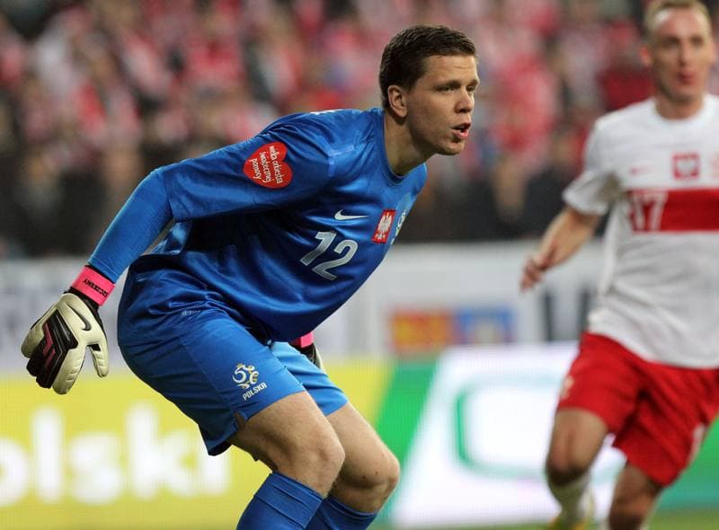 Football. International Friendly. Poland - Ireland. 19.11.2013