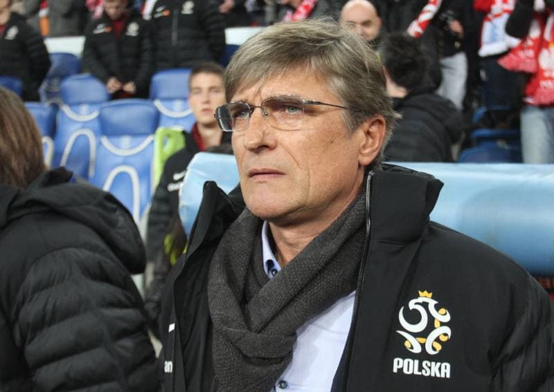 Football. International Friendly. Poland - Ireland. 19.11.2013