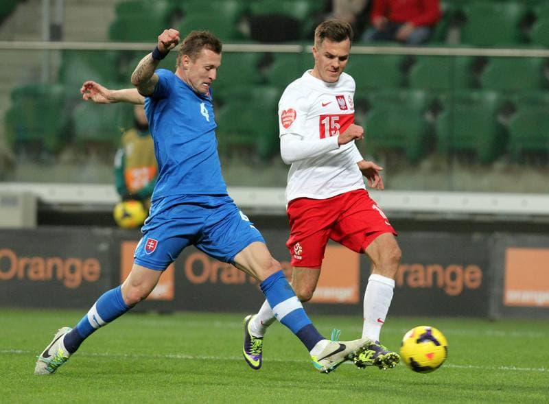 Football. International Friendly. Poland - Ireland. 19.11.2013