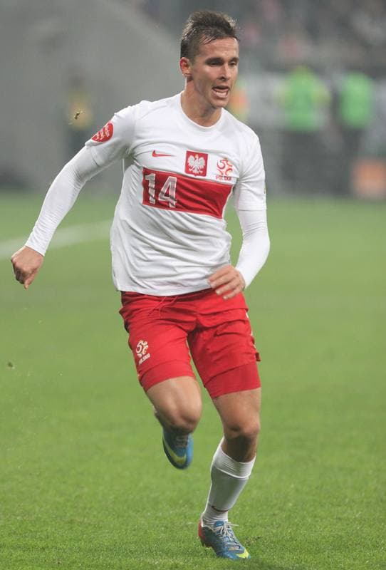 Football. International Friendly. Poland - Ireland. 19.11.2013