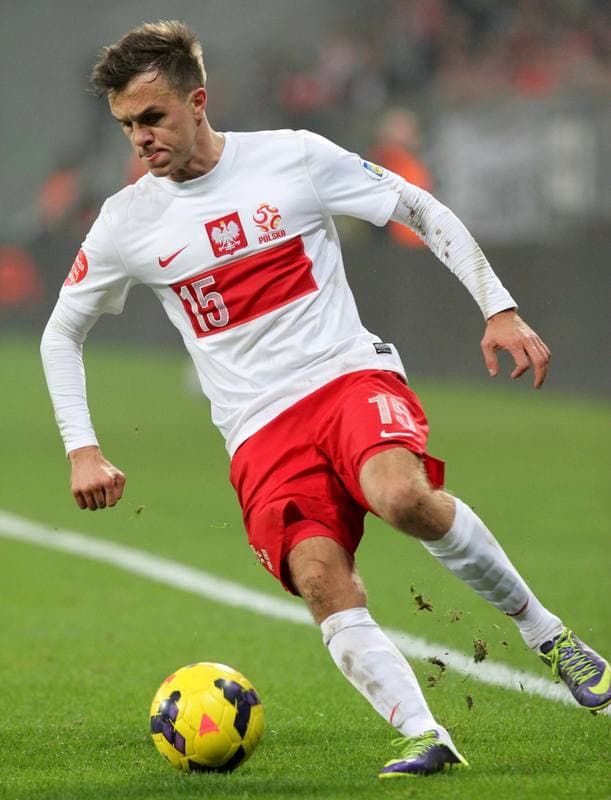 Football. International Friendly. Poland - Ireland. 19.11.2013