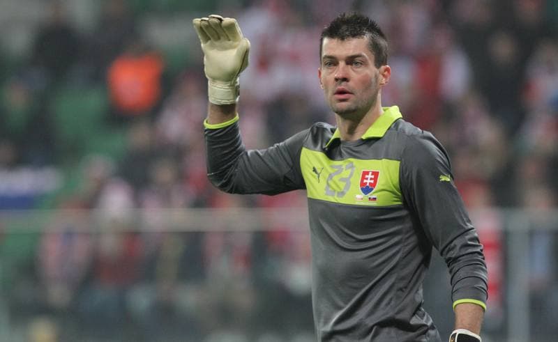 Football. International Friendly. Poland - Ireland. 19.11.2013
