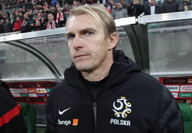 Football. International Friendly. Poland - Ireland. 19.11.2013