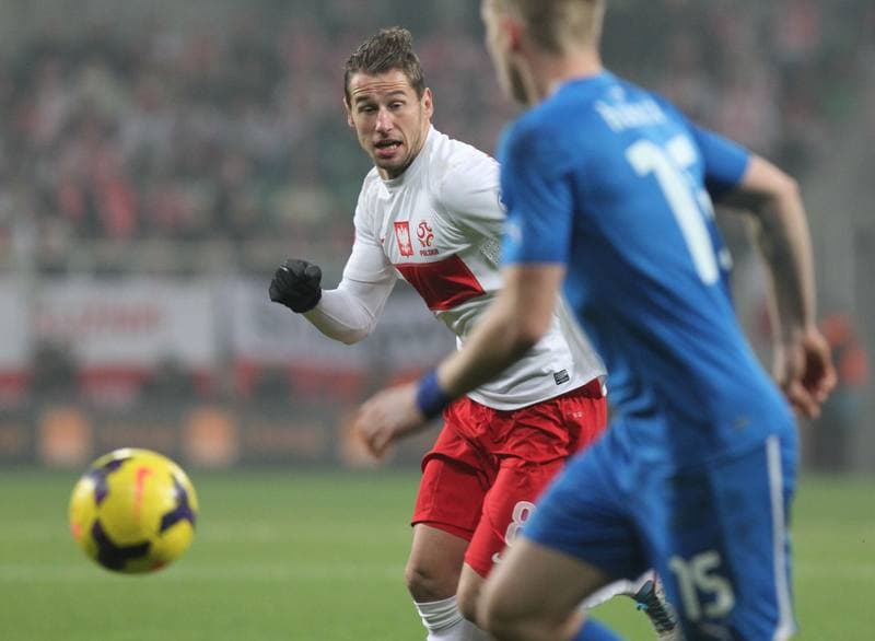 Football. International Friendly. Poland - Ireland. 19.11.2013
