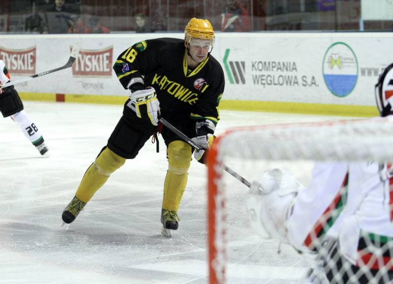 Ice Hockey. Polska Hokej Liga. GKS Tychy - HC GKS Katowice. 18.02.2014