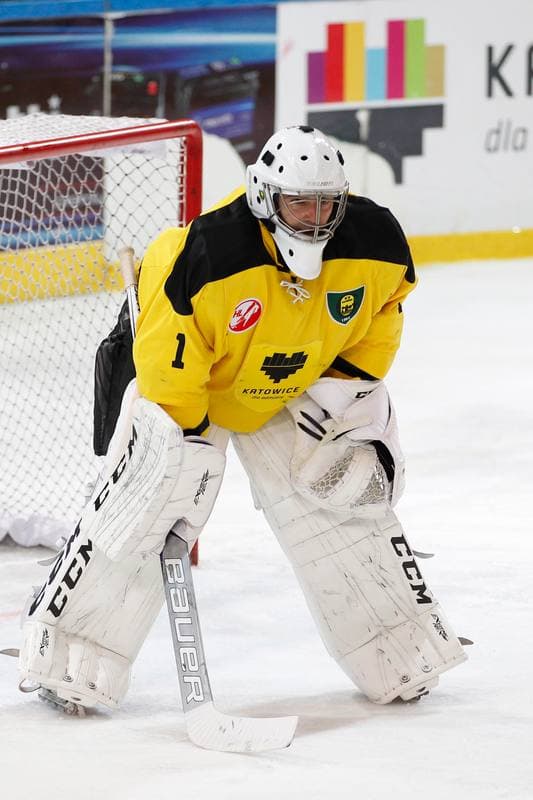 Ice Hockey. Tauron Hokej Liga. GKS Katowice - Polonia Bytom. 18.10.2016
