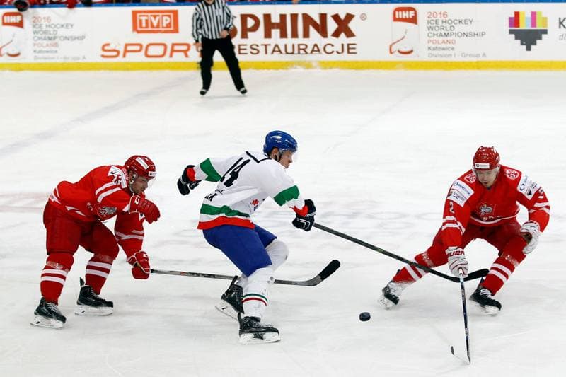 Ice Hockey. EIHC. Kazakhstan - France. 17.12.2015