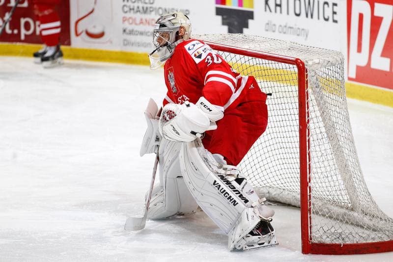 Ice Hockey. EIHC. Kazakhstan - France. 17.12.2015