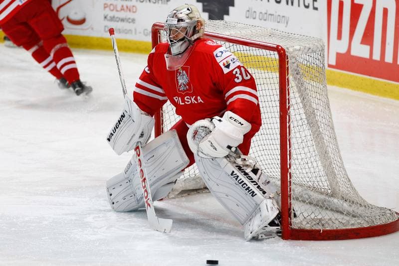 Ice Hockey. EIHC. Kazakhstan - France. 17.12.2015