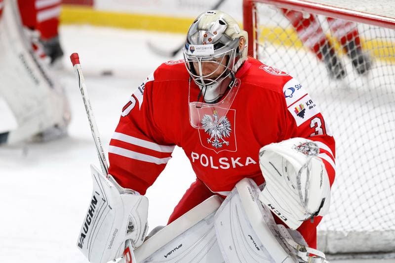 Ice Hockey. EIHC. Kazakhstan - France. 17.12.2015