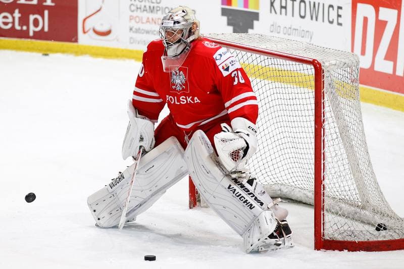 Ice Hockey. EIHC. Kazakhstan - France. 17.12.2015