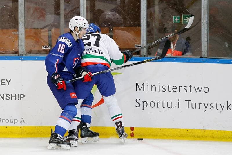 Ice Hockey. EIHC. France - Italy. 18.12.2015
