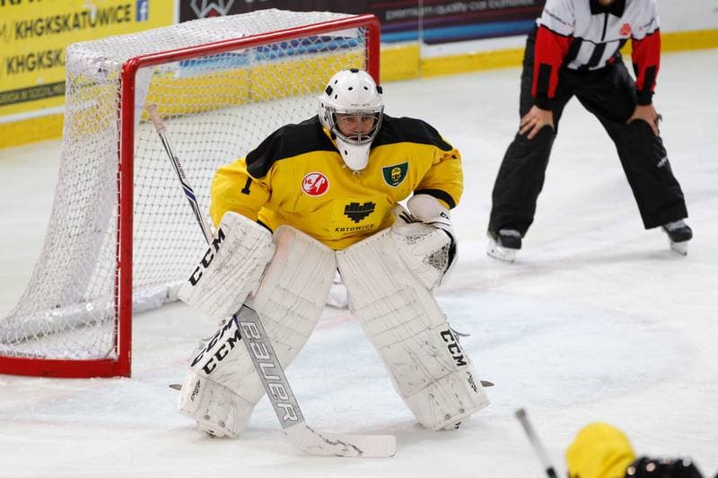 Ice Hockey. Polska Hokej Liga. GKS Katowice - Orlik Opole. 25.10.2016