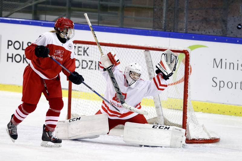 Ice Hockey. U18 Women's World Championship. Poland - Denmark. 08.01.2017