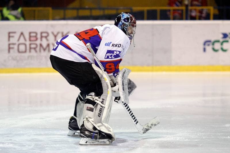 Ice Hockey. Polska Hokej Liga. Tempish Polonia Bytom - JKH GKS Jastrzebie. 20.01.2017