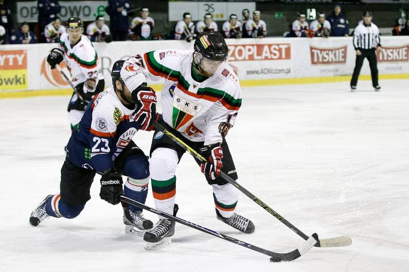 Ice Hockey. Polska Hokej Liga. GKS Tychy - Ciarko STS Sanok. 15.01.2016