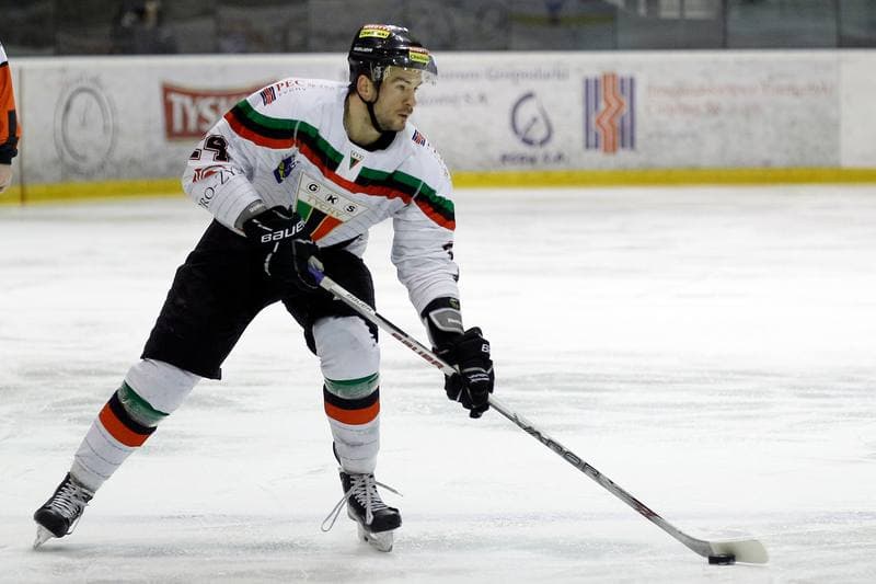 Ice Hockey. Polska Hokej Liga. GKS Tychy - Ciarko STS Sanok. 15.01.2016