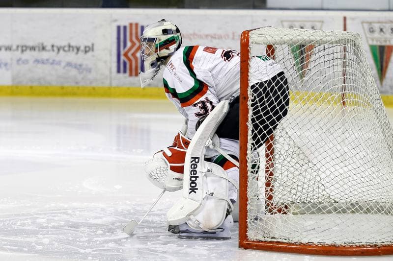 Ice Hockey. Polska Hokej Liga. GKS Tychy - Ciarko STS Sanok. 15.01.2016
