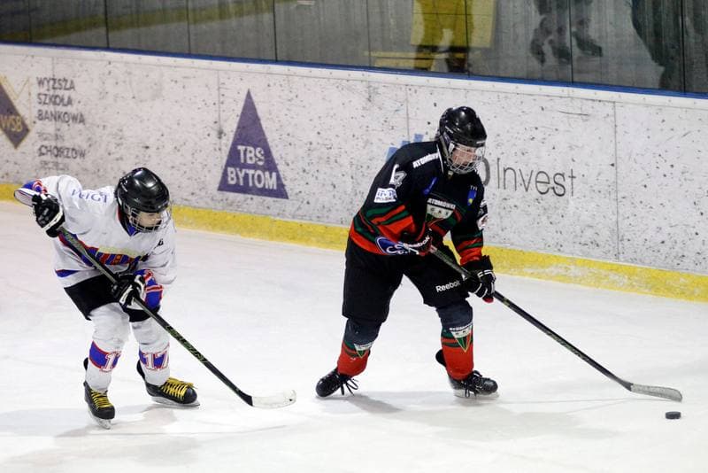 Ice Hockey. PLHK. Polonia Bytom - Atomowki Tychy. 27.01.2017