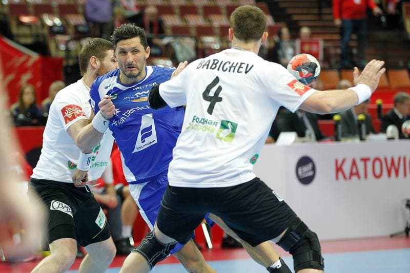 Handball. EHF Euro 2016. Belarus - Iceland. 17.01.2016