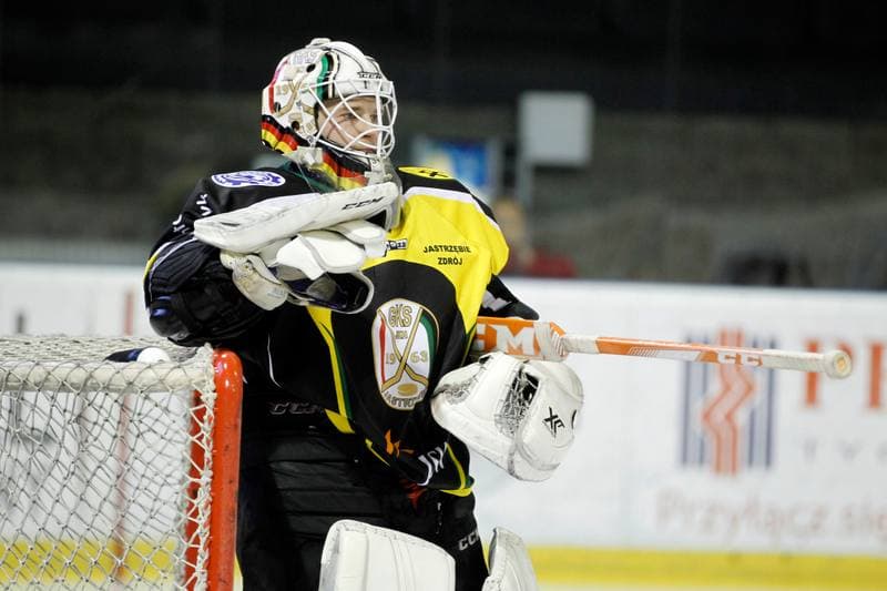 Ice Hockey. Polska Hokej Liga. GKS Tychy - JKH GKS Jastrzebie. 17.02.2017