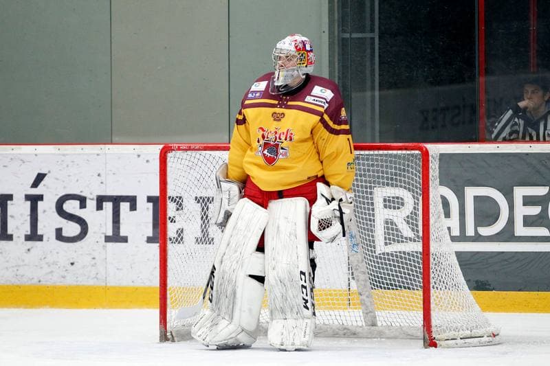 Ice Hockey. WSM Liga. HC Frydek-Mistek - Dukla Jihlava. 02.03.2017