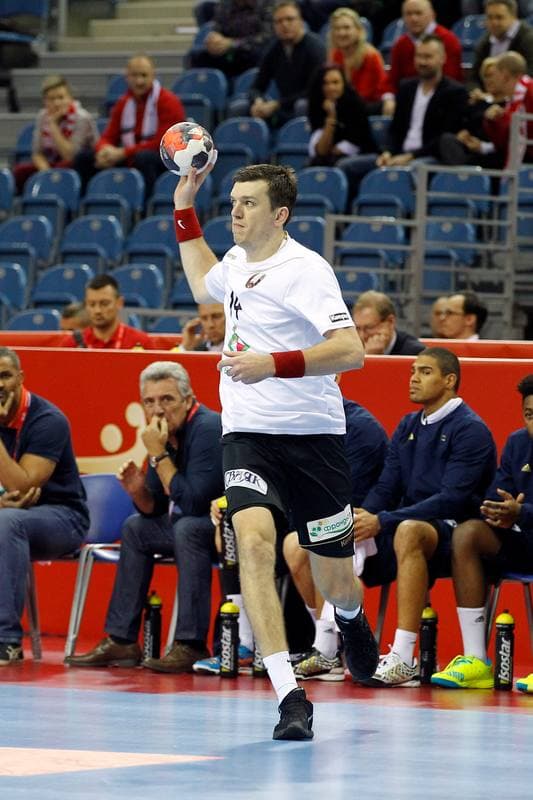 Handball. EHF Euro 2016. France - Belarus. 21.01.2016