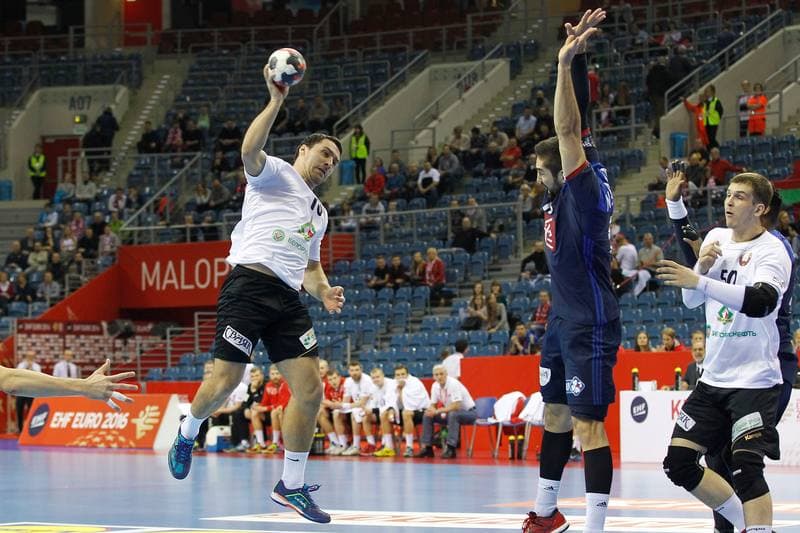 Handball. EHF Euro 2016. France - Belarus. 21.01.2016