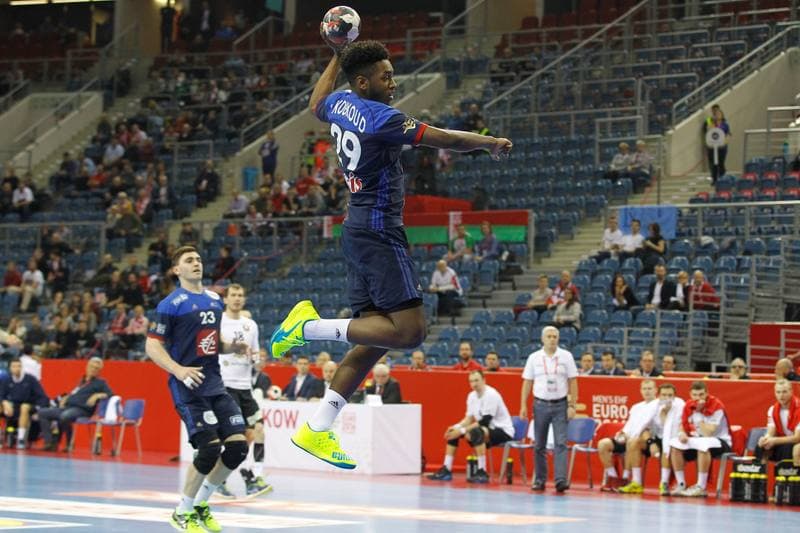 Handball. EHF Euro 2016. France - Belarus. 21.01.2016