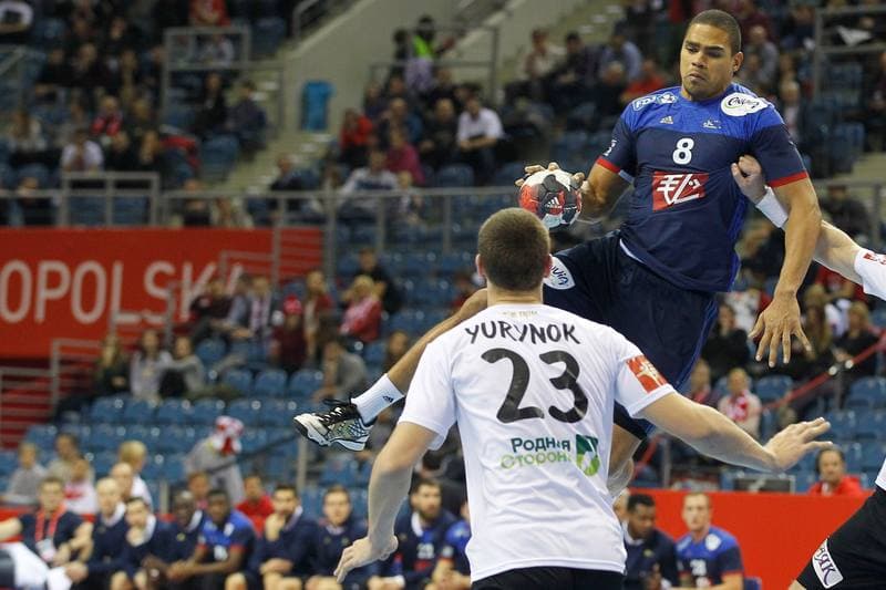 Handball. EHF Euro 2016. France - Belarus. 21.01.2016