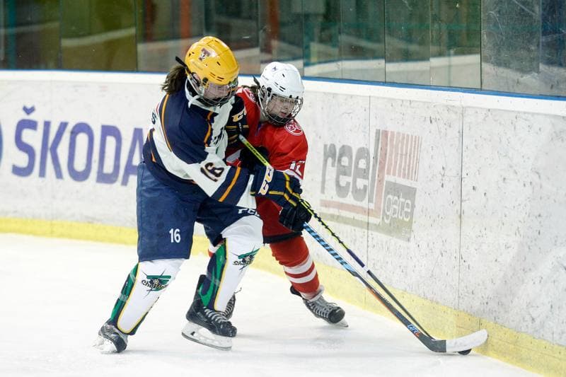 Ice Hockey. Women's Friendly Match. Poland - Ontario. 04.04.2017