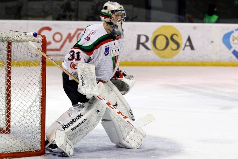 Ice Hockey. Polska Hokej Liga. GKS Tychy - Comarch Cracovia Krakow. 26.01.2016