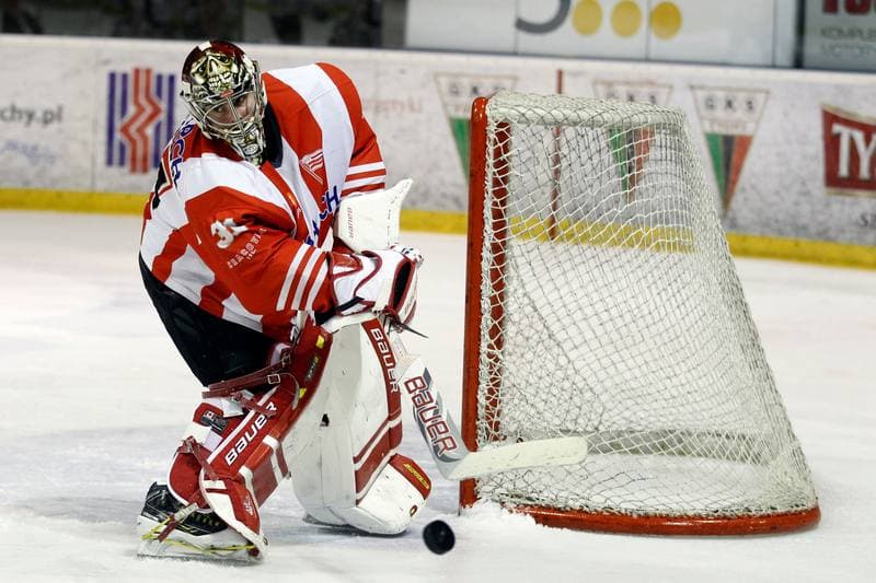 Ice Hockey. Polska Hokej Liga. GKS Tychy - Comarch Cracovia Krakow. 26.01.2016
