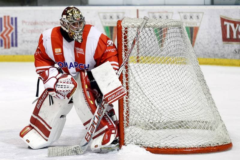 Ice Hockey. Polska Hokej Liga. GKS Tychy - Comarch Cracovia Krakow. 26.01.2016