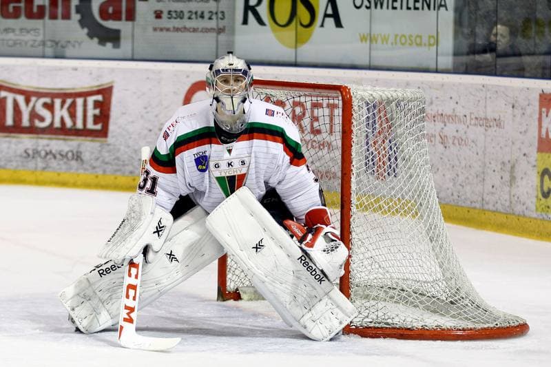 Ice Hockey. Polska Hokej Liga. GKS Tychy - Comarch Cracovia Krakow. 26.01.2016